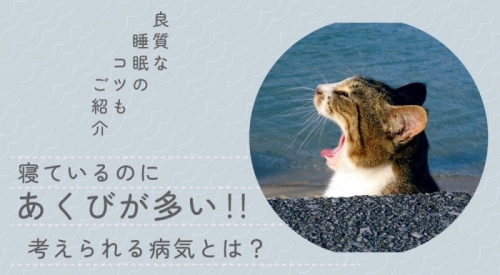 寝ているのにあくびが多い！良質な睡眠のコツや考えられる病気とは？