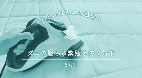 【ふとんはダニの温床】潜むダニの駆除＆繁殖を防ぐ対策について徹底解説
