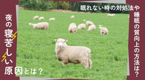 夜の寝苦しい原因とは？眠れないときにすぐできる対処法と睡眠の質を向上させる方法を徹底解説！