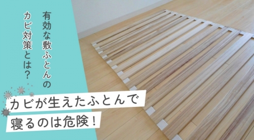 カビが生えたふとんで寝るのは危険!?有効な敷きふとんのカビ対策とは？
