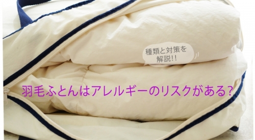 羽毛ふとんはアレルギーのリスクがある？種類と対策を解説