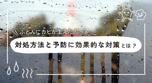 ふとんにカビが生えた！対処法と予防に効果的な対策とは？