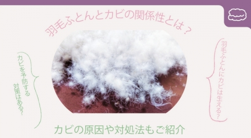 羽毛ふとんとカビの関係性とは？カビの原因や対処法もご紹介