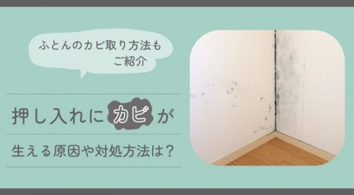 押入れにカビが生える原因や対処法は？ふとんのカビ取り方法もご紹介！