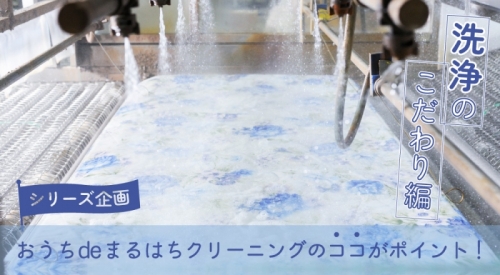シリーズ企画：おうちdeまるはちクリーニングのココがポイント！ 洗浄のこだわり編