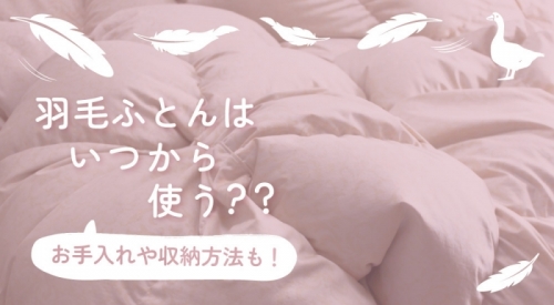羽毛ふとんはいつから使う？お手入れや状態を最適に保つ収納方法