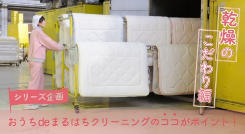 シリーズ企画：おうちdeまるはちクリーニングのココがポイント！ 乾燥のこだわり編