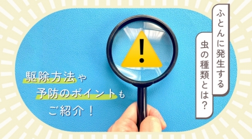 ふとんに発生する虫の種類とは？駆除方法や予防のポイントもご紹介！