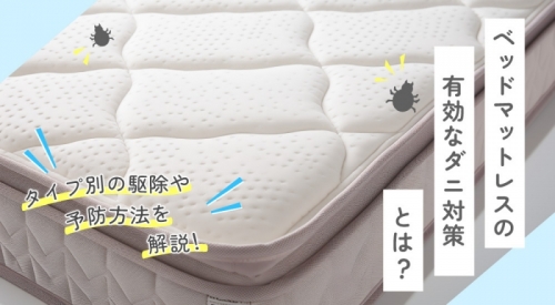 ベッドマットレスの有効なダニ対策とは？タイプ別の駆除や予防方法を解説